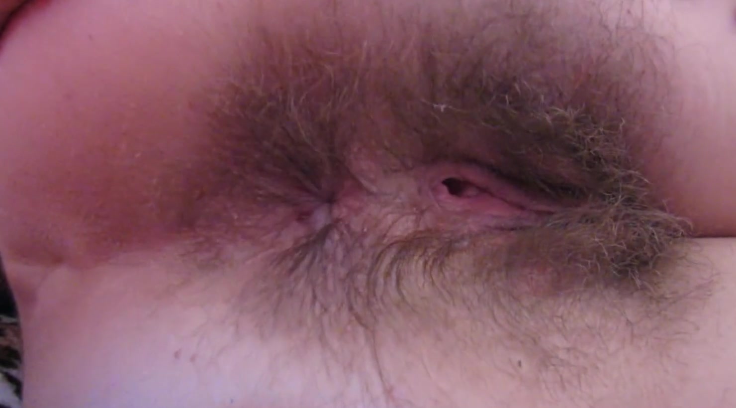 1480px x 820px - Girl shows off her super hairy asshole in close up Â» Hairy pussy world!  Biggest bush and hair in all bodyparts